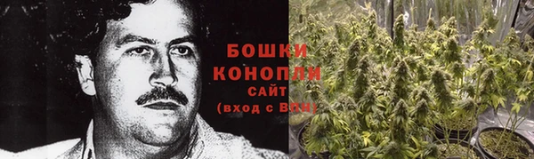 метадон Вяземский