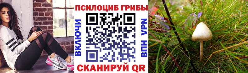 Галлюциногенные грибы прущие грибы  Нижнекамск 